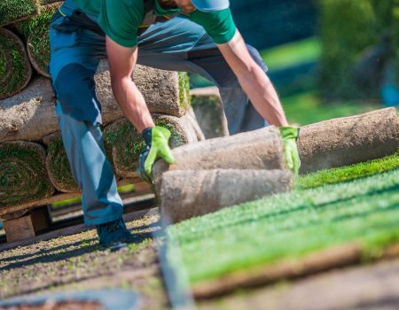 Installation of Grass Turfs Installation of New Grass Turfs in Developed Garden. Landscaping Industry Theme.